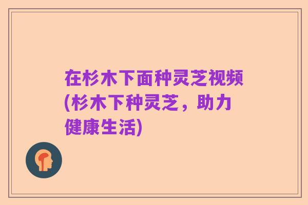 在杉木下面种灵芝视频(杉木下种灵芝,助力健康生活)