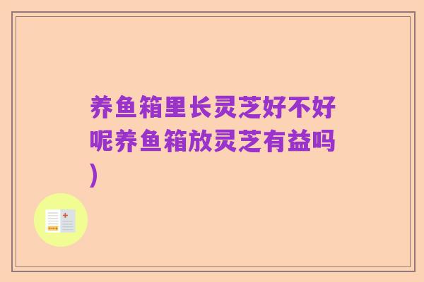 养鱼箱里长灵芝好不好呢养鱼箱放灵芝有益吗)