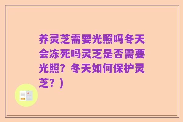 养灵芝需要光照吗冬天会冻死吗灵芝是否需要光照?冬天如何保护灵芝?)