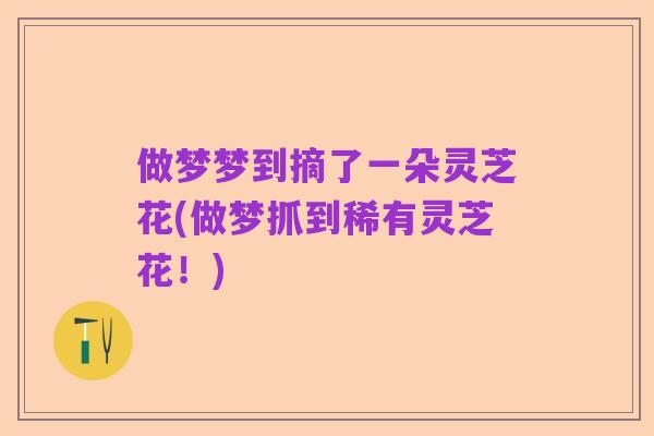做梦梦到摘了一朵灵芝花(做梦抓到稀有灵芝花！)