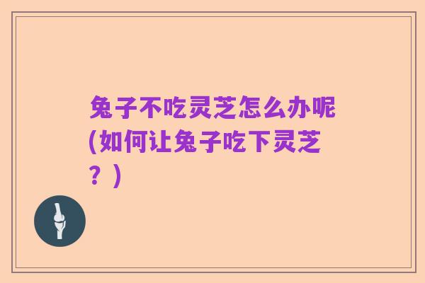 兔子不吃灵芝怎么办呢(如何让兔子吃下灵芝？)
