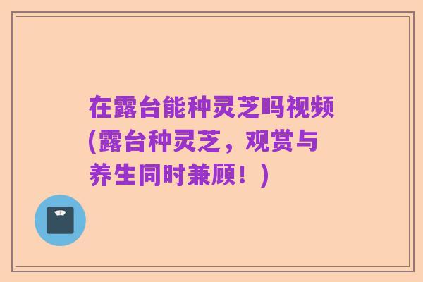 在露台能种灵芝吗视频(露台种灵芝，观赏与养生同时兼顾！)