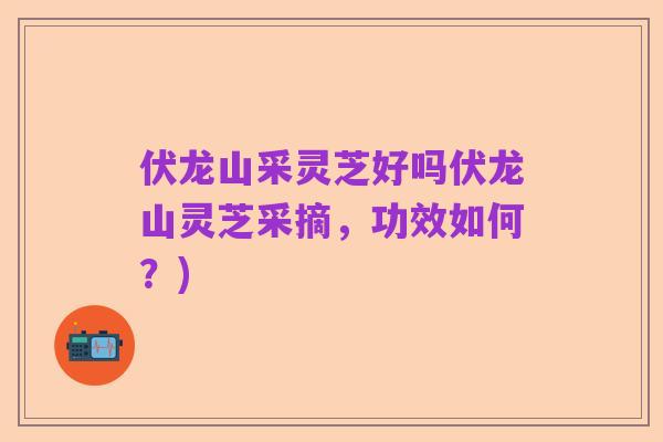 伏龙山采灵芝好吗伏龙山灵芝采摘,功效如何?)