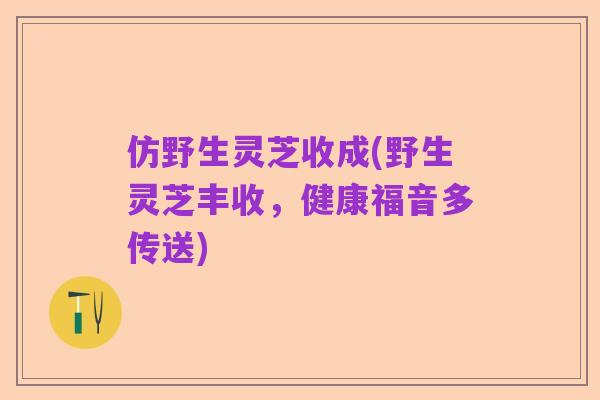 仿野生灵芝收成(野生灵芝丰收,健康福音多传送)