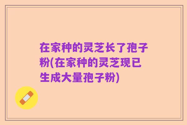 在家种的灵芝长了孢子粉(在家种的灵芝现已生成大量孢子粉)