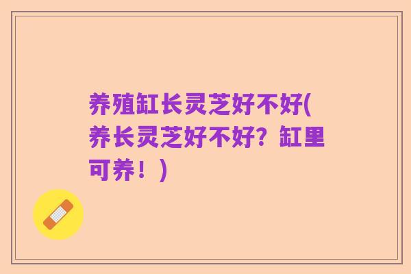 养殖缸长灵芝好不好(养长灵芝好不好?缸里可养!)