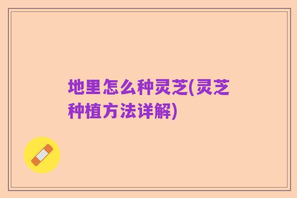 地里怎么种灵芝(灵芝种植方法详解)