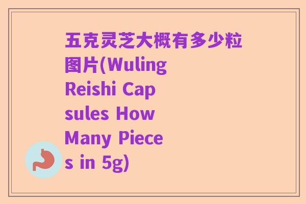 五克灵芝大概有多少粒图片(Wuling Reishi Capsules How Many Pieces in 5g)