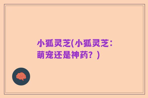 小狐灵芝(小狐灵芝:萌宠还是神药?)