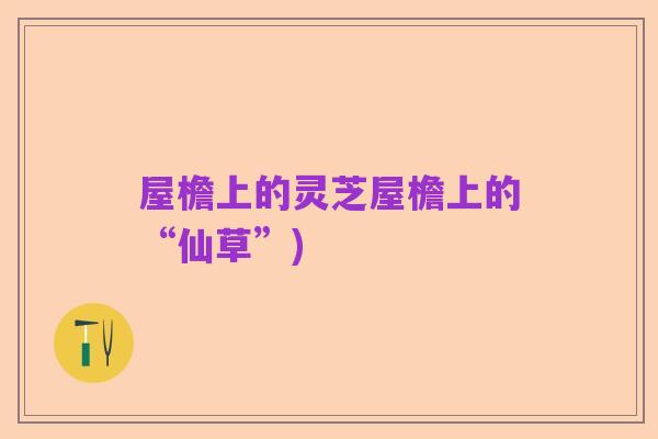 屋檐上的灵芝屋檐上的“仙草”)