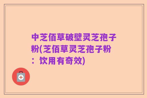 中芝佰草破壁灵芝孢子粉(芝佰草灵芝孢子粉：饮用有奇效)