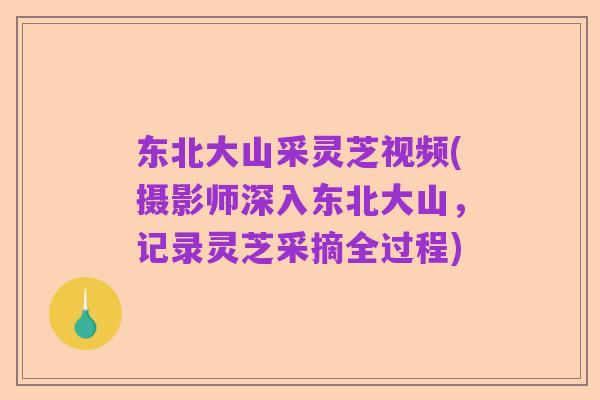 东北大山采灵芝视频(摄影师深入东北大山,记录灵芝采摘全过程)