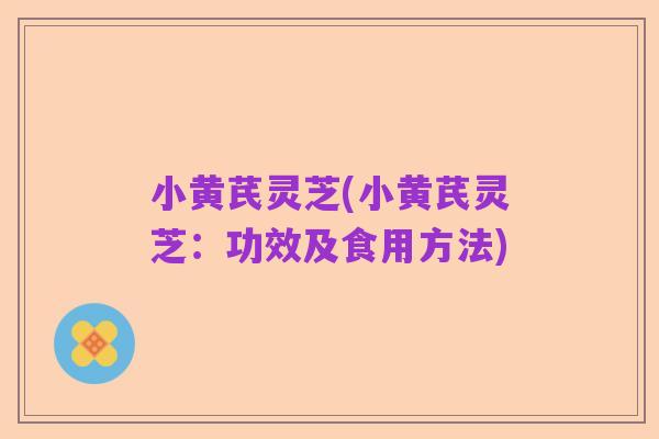 小黄芪灵芝(小黄芪灵芝：功效及食用方法)