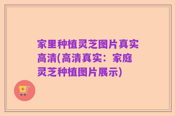 家里种植灵芝图片真实高清(高清真实：家庭灵芝种植图片展示)