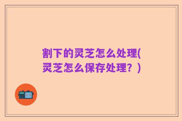 割下的灵芝怎么处理(灵芝怎么保存处理？)