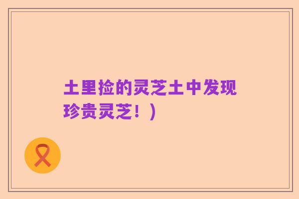 土里捡的灵芝土中发现珍贵灵芝!)