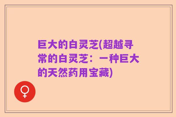 巨大的白灵芝(超越寻常的白灵芝:一种巨大的天然药用宝藏)