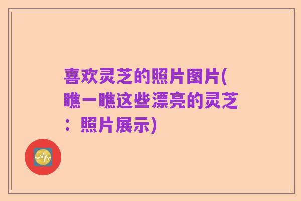 喜欢灵芝的照片图片(瞧一瞧这些漂亮的灵芝:照片展示)