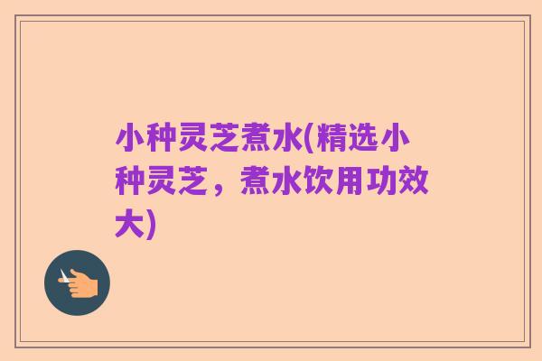 小种灵芝煮水(精选小种灵芝,煮水饮用功效大)