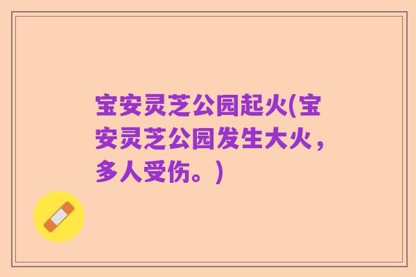 宝安灵芝公园起火(宝安灵芝公园发生大火，多人受伤。)