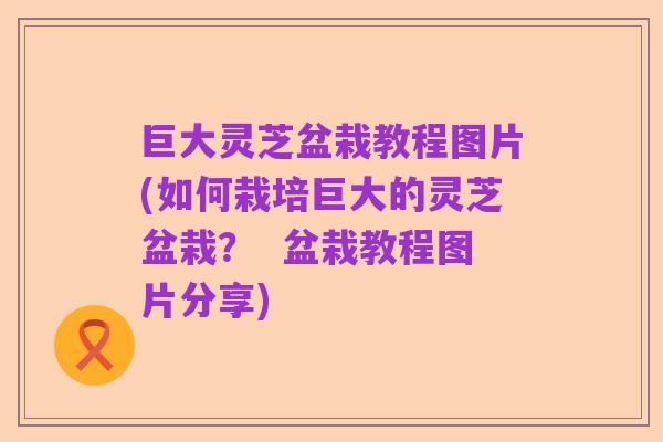 巨大灵芝盆栽教程图片(如何栽培巨大的灵芝盆栽？  盆栽教程图片分享)