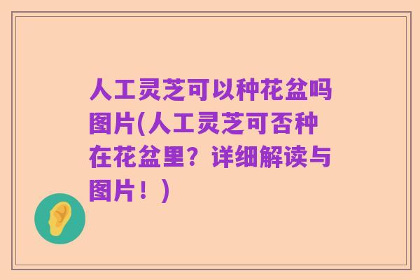 人工灵芝可以种花盆吗图片(人工灵芝可否种在花盆里?详细解读与图片!)