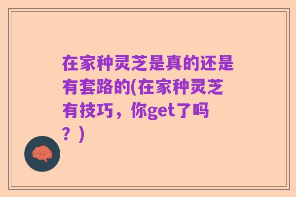 在家种灵芝是真的还是有套路的(在家种灵芝有技巧，你get了吗？)