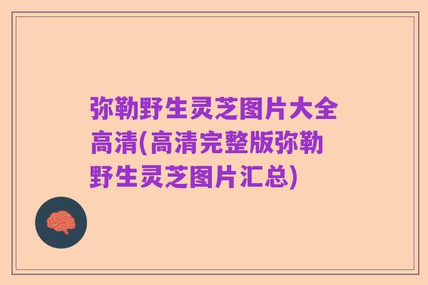 弥勒野生灵芝图片大全高清(高清完整版弥勒野生灵芝图片汇总)