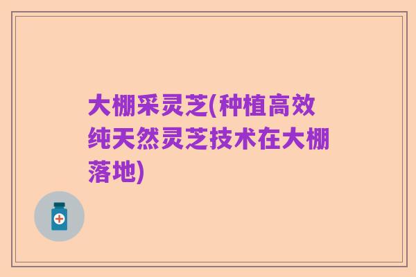 大棚采灵芝(种植高效纯天然灵芝技术在大棚落地)