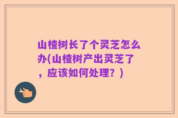 山楂树长了个灵芝怎么办(山楂树产出灵芝了，应该如何处理？)