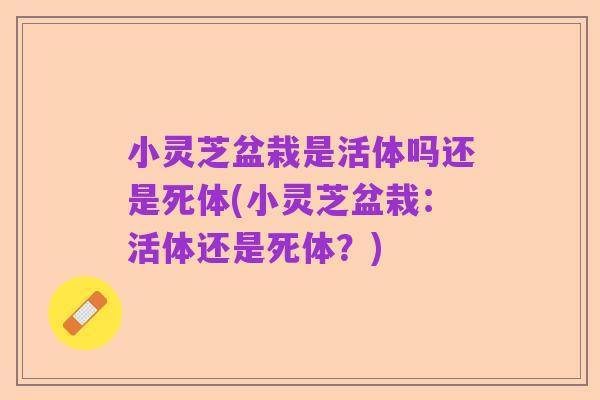 小灵芝盆栽是活体吗还是死体(小灵芝盆栽:活体还是死体?)