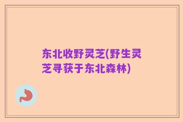 东北收野灵芝(野生灵芝寻获于东北森林)