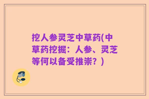 挖人参灵芝中草药(中草药挖掘:人参、灵芝等何以备受推崇?)
