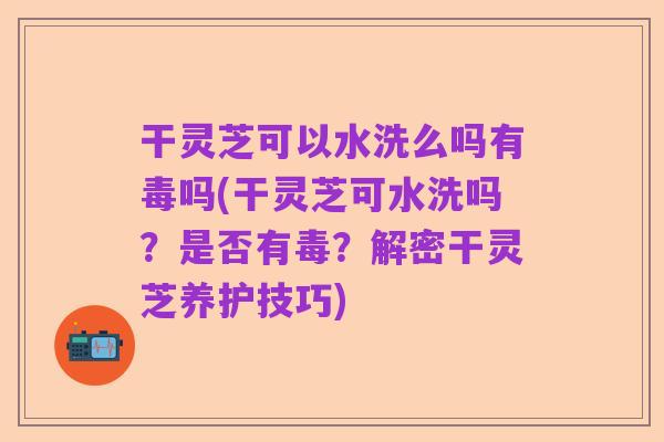 干灵芝可以水洗么吗有毒吗(干灵芝可水洗吗?是否有毒?解密干灵芝养护技巧)