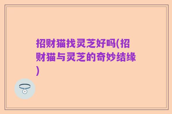 招财猫找灵芝好吗(招财猫与灵芝的奇妙结缘)