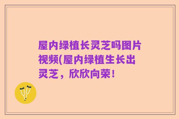 屋内绿植长灵芝吗图片视频(屋内绿植生长出灵芝,欣欣向荣!