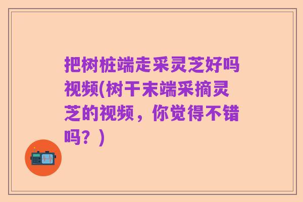 把树桩端走采灵芝好吗视频(树干末端采摘灵芝的视频,你觉得不错吗?)
