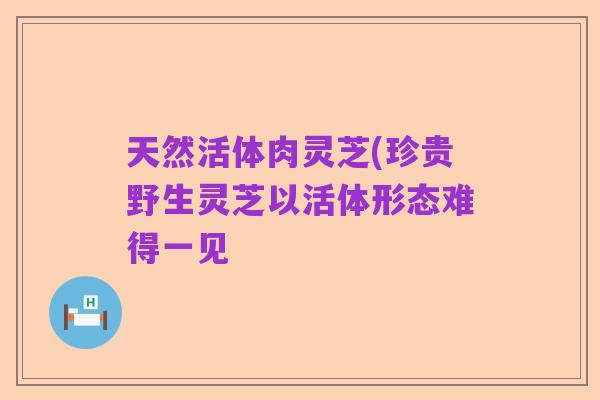天然活体肉灵芝(珍贵野生灵芝以活体形态难得一见