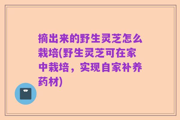 摘出来的野生灵芝怎么栽培(野生灵芝可在家中栽培，实现自家补养药材)