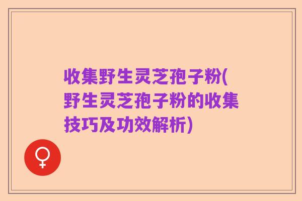 收集野生灵芝孢子粉(野生灵芝孢子粉的收集技巧及功效解析)