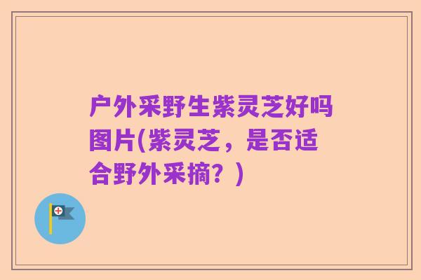 户外采野生紫灵芝好吗图片(紫灵芝,是否适合野外采摘?)