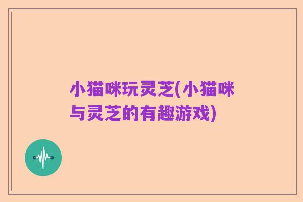 小猫咪玩灵芝(小猫咪与灵芝的有趣游戏)