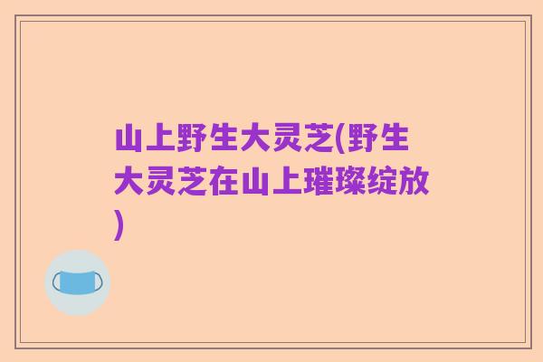 山上野生大灵芝(野生大灵芝在山上璀璨绽放)