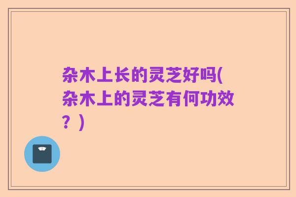 杂木上长的灵芝好吗(杂木上的灵芝有何功效?)