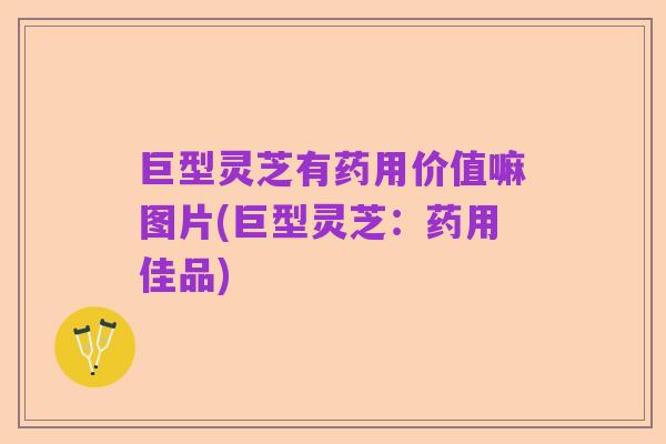 巨型灵芝有药用价值嘛图片(巨型灵芝:药用佳品)