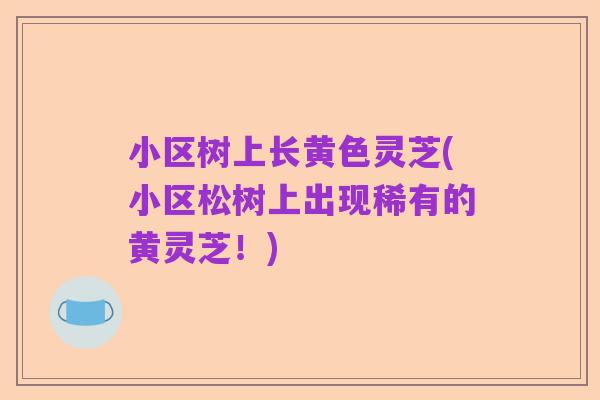 小区树上长黄色灵芝(小区松树上出现稀有的黄灵芝!)