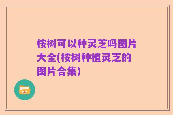 桉树可以种灵芝吗图片大全(桉树种植灵芝的图片合集)