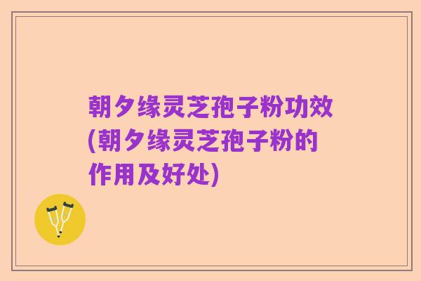 朝夕缘灵芝孢子粉功效(朝夕缘灵芝孢子粉的作用及好处)