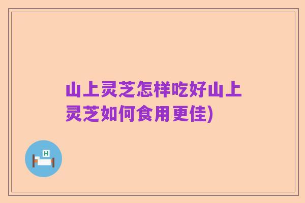 山上灵芝怎样吃好山上灵芝如何食用更佳)