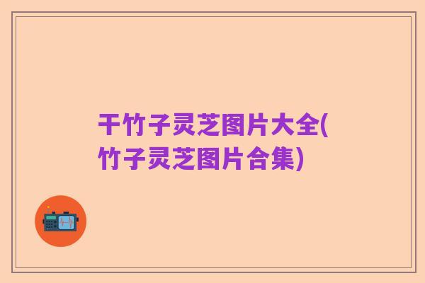 干竹子灵芝图片大全(竹子灵芝图片合集)